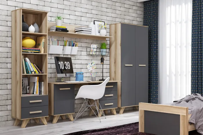 Шкаф-стеллаж 450 Вега Скандинавия