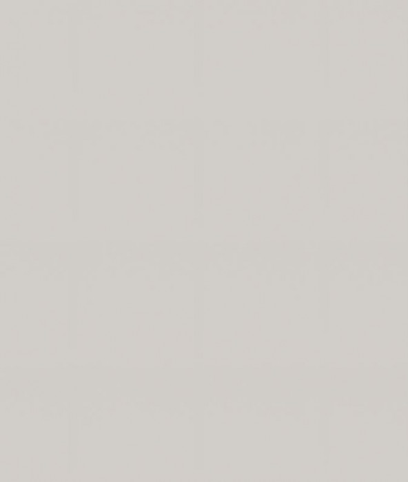 Ф-55 Альфа (ШВС 800) МДФ холст белый