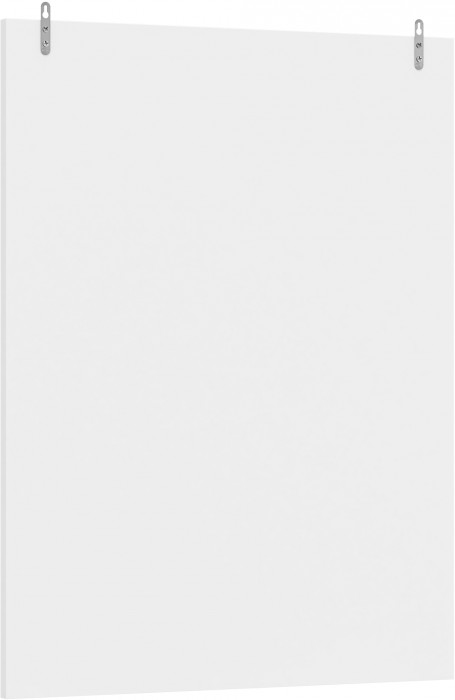 Камелия Зеркало, белый