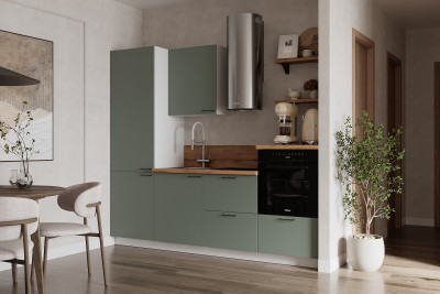 КГ 2400 Эмаль, Олива  Арника РМ в.8