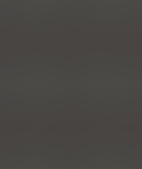 Ф-30 Альфа (ШВ 500, ШН 500) МДФ холст вулкан