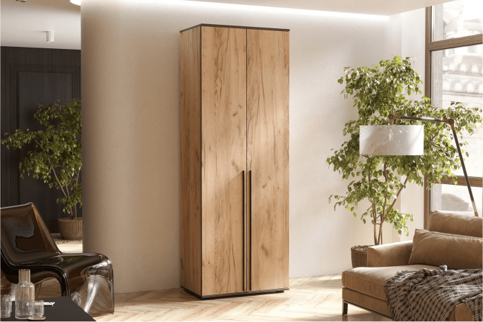 Норд Шкаф двухстворчатый 800 графит