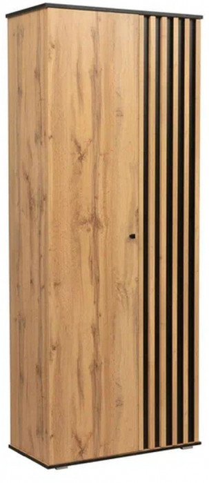 Шкаф для одежды Либерти 51.01 (опора h20) Дуб вотан/Черный