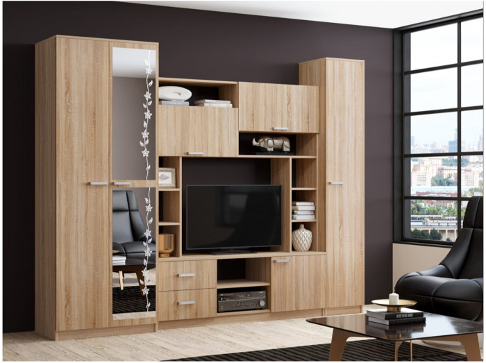 Гостиная Флора-4 ЛДСП (Ясень шимо темный / светлый)